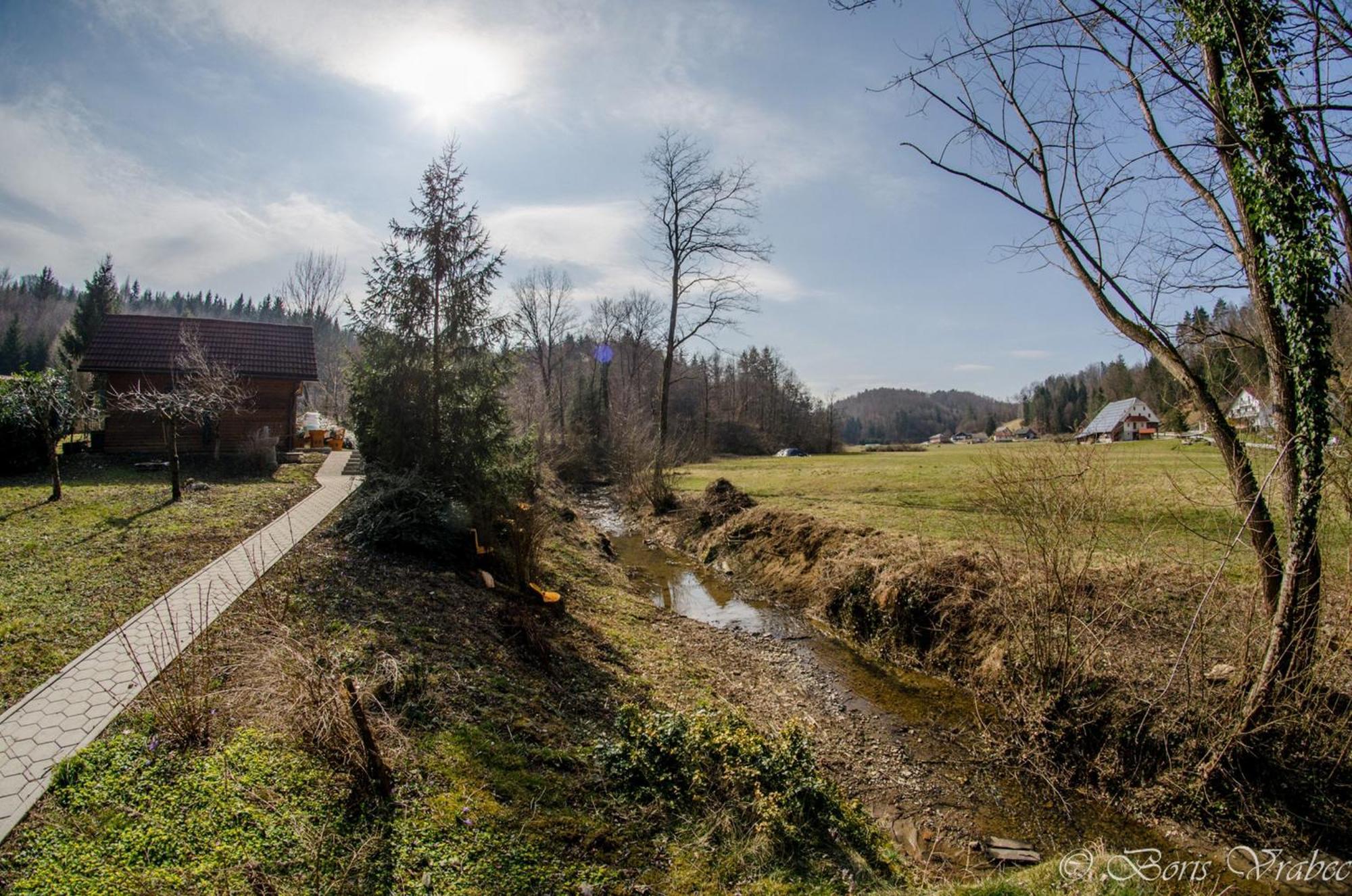 Wooden Cabin Zurej With Hot Tub Bukovje v Babni Gori Exterior photo